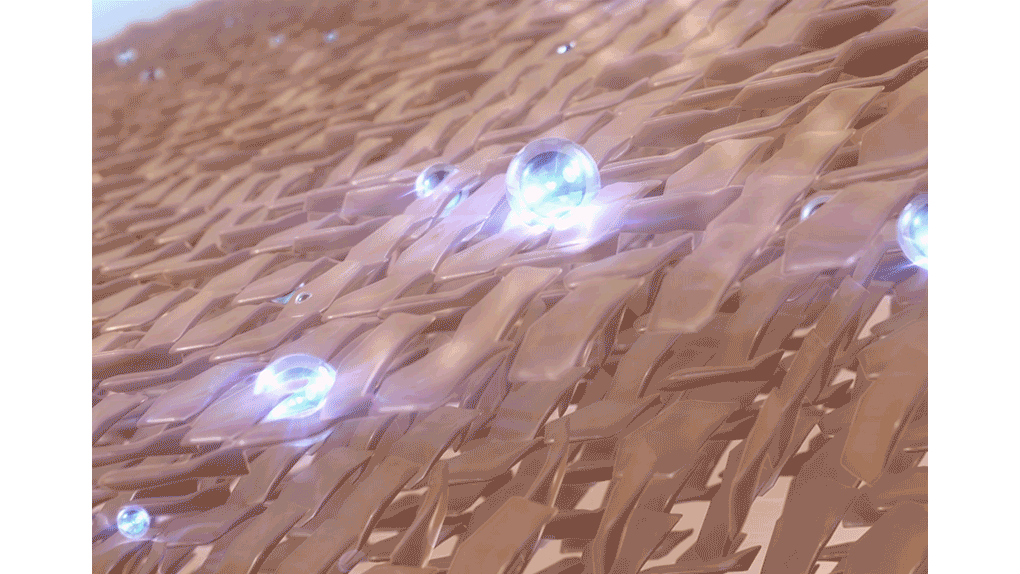 메디힐 티트리 트러블 진정 오일 10