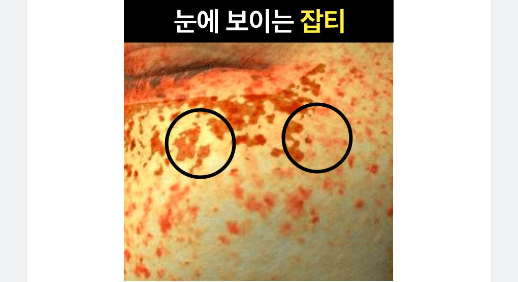 Vita Eye Patch 27